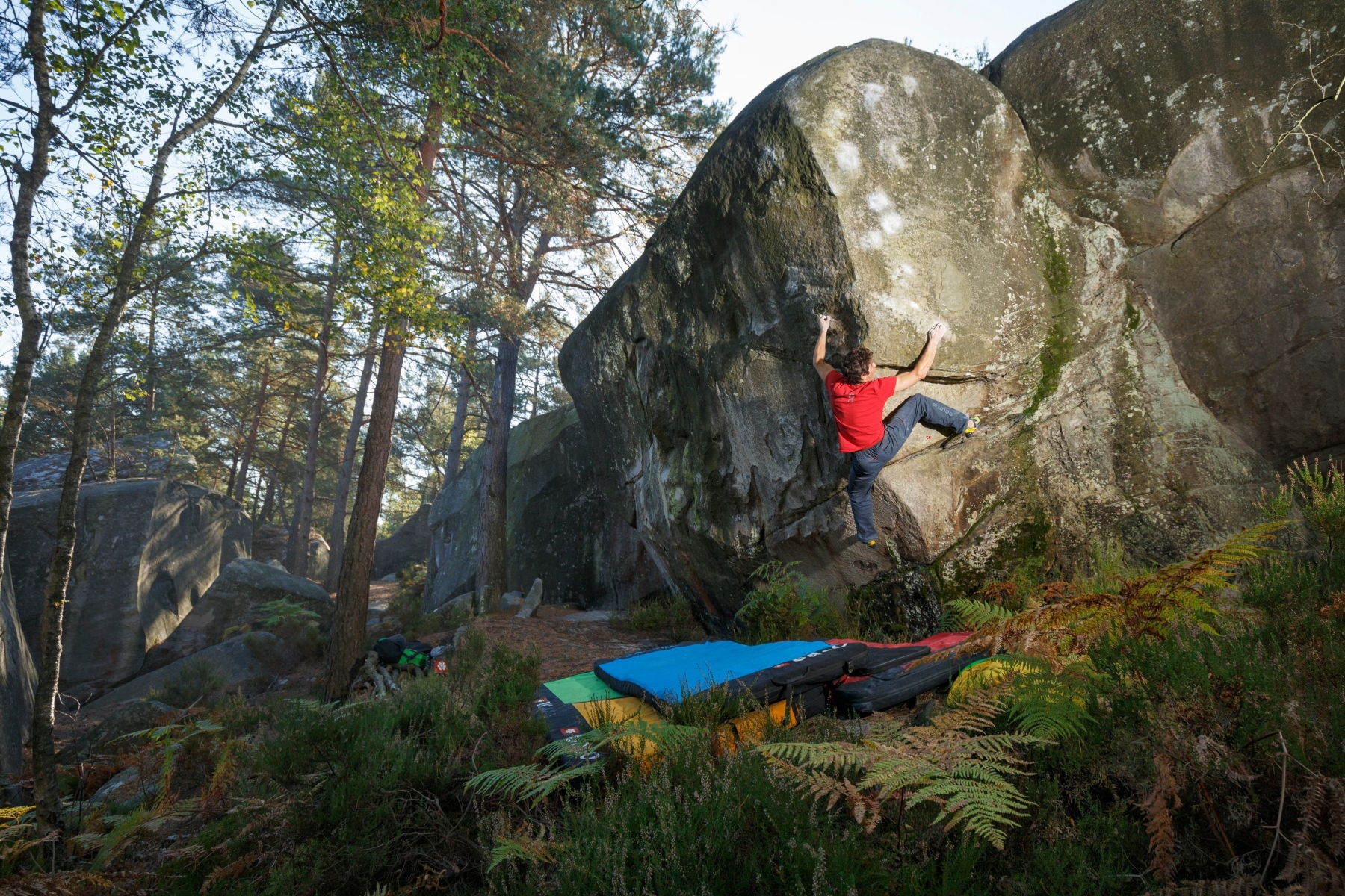 Fontainebleau: Last calm sectors with great boulders | OCÚN